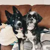 Riley & Ramsey - @rileyandramsey - TikTok