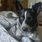 Riley Ramsey - Facebook