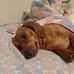 Riley Richards - Facebook