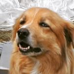 Riley Richards - @riley__richards__ - Instagram