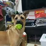 RILEY - @riley_theripper - Instagram