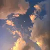 Riley - @rileyroos_4513 - TikTok