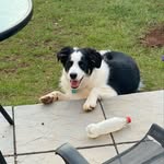Rileys Adventures - @riley_roos_adventures - Instagram