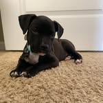 Riley Sanchez - @rileyroothsanchez - Instagram