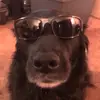 Riley Schmidt - @rileyschmidt36 - TikTok
