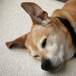 Riley Schroeder - @riley__schroeder - Instagram