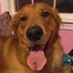 Riley Sexton - @animal_lover0904 - Instagram