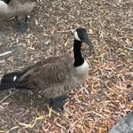 Riley Stapleton - @rileyms2005 - Instagram