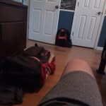Riley stapleton - @riley_29.12 - Instagram