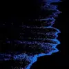 Riley Stapleton - @riley.stapleton6 - TikTok