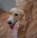 Riley Swanson - Facebook