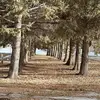 Riley Swanson - @riley.swanson1 - TikTok