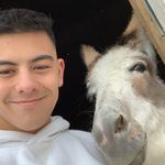 @rileythrower.co.uk - Instagram