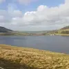 rileytobin - @rolliner - TikTok