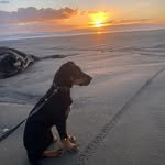 Riley Townsend - @rileytownsend465 - Instagram