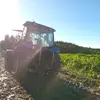 rileytownsend05 - @rileytownsend05 - TikTok