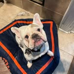 Riley Troutman - @troutmanriley - Instagram