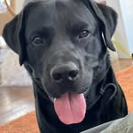 TroutRiley - @trout_riley - Instagram