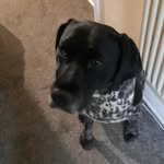 Riley vickers - @rileyvickers57 - Instagram