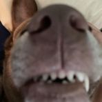 Riley Vickers - Facebook