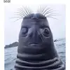 Riley_Vickers - @riley_vickers12 - TikTok