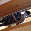 Riley vickers  - @riley_vickers - TikTok