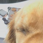 Riley - @rileywalls23 - Instagram