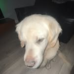 Riley Ware - @thatboycalledrileyware - Instagram