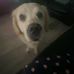 Riley Ware - Facebook