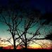 Riley Weaver - Facebook