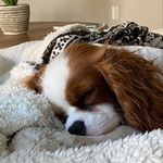 Riley Weaver - @rileyweaver23 - Instagram