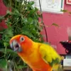 Riley Weaver - @yourfriend2205 - TikTok