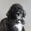 rileyweber19 - @rileyweber19 - TikTok