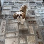 Riley Weiss - @realtalkwithriley - Instagram