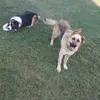 riley.weiss21 - @riley.weiss21 - TikTok