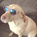riley whitaker - @rimarie473 - Instagram