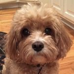 Riley Whitaker - @rileyrosewhitaker - Instagram