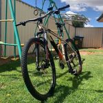 Riley Whitney - @rileywhitney6 - Instagram