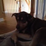 Riley A Wooten - @one_pro_player - Instagram