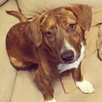 Riley Joseph Wooten - @rileyjosephwooten - Instagram