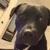 Riley Wooten - @rileywooten1 - TikTok