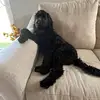 rileyzroker - @riley.zroker - TikTok