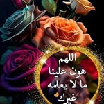 Rima ayoub - @rimaayoub12 - Instagram