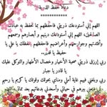 Rima Farah - @bensalehhajer4 - Instagram
