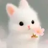 🦋Najmin Rima🦋 - @najmin.rima13 - TikTok