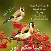 Rima Najma - @rima.najma0 - TikTok