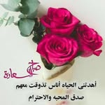 Rima Nasser - @rimanasser3 - Instagram