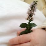 Rima Nasser - @rima.nasser.7505 - Instagram