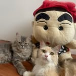 리나 - @rinaalvarez_ - Instagram