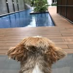 Rina Cheng - @cheng.rina - Instagram